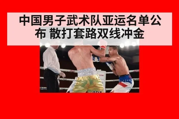 中国男子武术队亚运名单公布 散打套路双线冲金